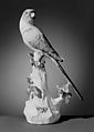 Parakeet, Meissen Manufactory  German, Hard-paste porcelain, German, Meissen