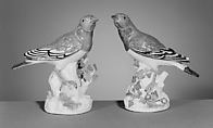 Thrush (one of a pair), Meissen Manufactory German, Hard-paste porcelain, German, Meissen