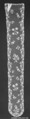Lappet (one of a pair), Needle lace, point d'Argentan, linen, French