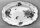 Plateau, Levavasseur  French, Faience (tin-glazed earthenware), French, Rouen