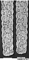 Lappets (2), Bobbin lace, Flemish