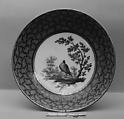 Saucer, Sèvres Manufactory (?) French, Soft-paste porcelain, French, Sèvres