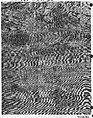 Piece, Silk and metal thread, Spanish or Portuguese