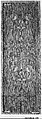 Fragment of orphrey, Silk and linen, Italian