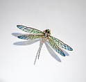Dragonfly brooch, Edgar Bense, Gold, diamond, enamel, French