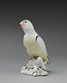 Pair of parakeets, Chelsea Porcelain Manufactory (British, 1744–1784), Soft-paste porcelain, British, Chelsea