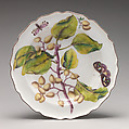 Botanical plate with fruiting branch, Chelsea Porcelain Manufactory (British, 1745–1784, Red Anchor Period, ca. 1753–58), Soft-paste porcelain with enamel decoration, British, Chelsea