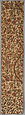 Fragment, Cotton, British