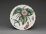 Botanical dish with white sunflower, Chelsea Porcelain Manufactory  British, Soft-paste porcelain, British, Chelsea