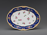 Oval platter, Sèvres Manufactory French, Soft-paste porcelain, French, Sèvres