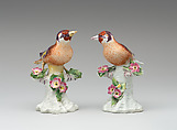 Pair of finches, Derby Porcelain Manufactory (British, 1751–1785), Soft-paste porcelain, British, Derby