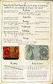 Théorie de la fabrication des étoffes de soie, Emile Klingholz, Silk, paper, French