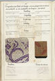 Théorie de la fabrication des étoffes de soie, Emile Klingholz, Silk, paper, French