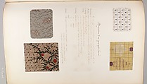 Theorie de la fabrication des etoffes de soie, Jules Piot (French), French
