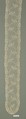 Edging, Needle lace, point d’Alençon, French