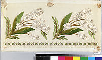 Dress border, Silk, French