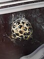 Urn with cover, Glass, Italian, Venice (Murano)