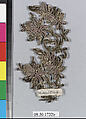 Ornament, Metal thread, German