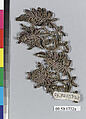 Ornament, Metal thread, German