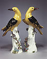 Golden oriole (one of a pair), Meissen Manufactory German, Hard-paste porcelain, German, Meissen