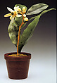 Potted Orange Blossom, House of Carl Fabergé, Quartzite, olivine, nephrite, red jasper, gold, Russian, St. Petersburg