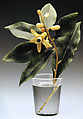 Orange Blossom Spray, House of Carl Fabergé, Quartzite, olivine, nephrite, rock crystal, gold, Russian, St. Petersburg