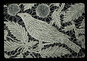 Fichu, Bobbin lace, British, Honiton