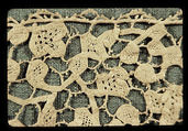 Fragment, Bobbin lace, Italian, Venice