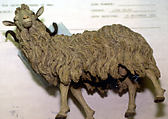 Standing sheep, Polychromed terracotta, Italian, Naples
