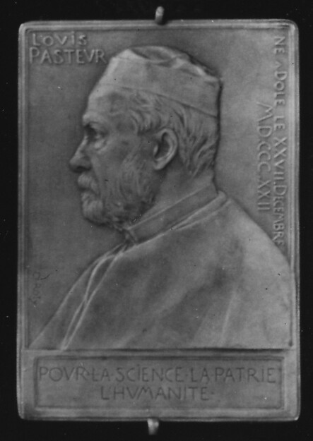 In Honor of Louis Pasteur, the Great Pathologist, 1892 by Louis-Oscar Roty, The Metropolitan Museum of Art