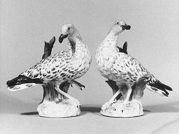 Herring gull (one of a pair)