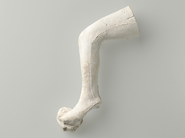 Study of a leg