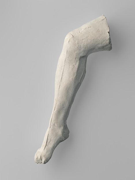 Study of a leg