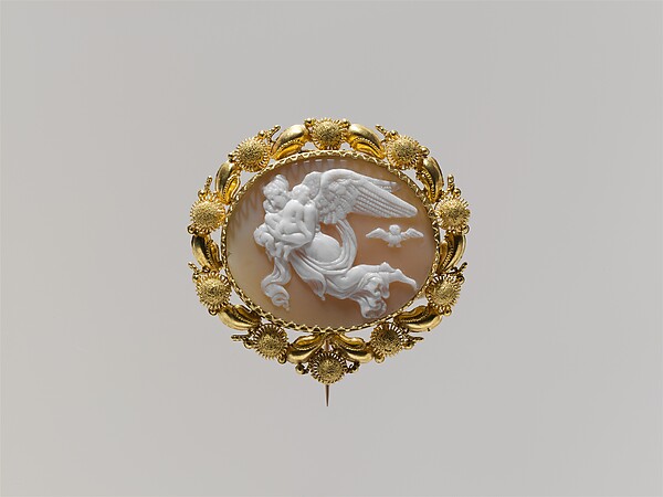 Seashell & Marine Life 5