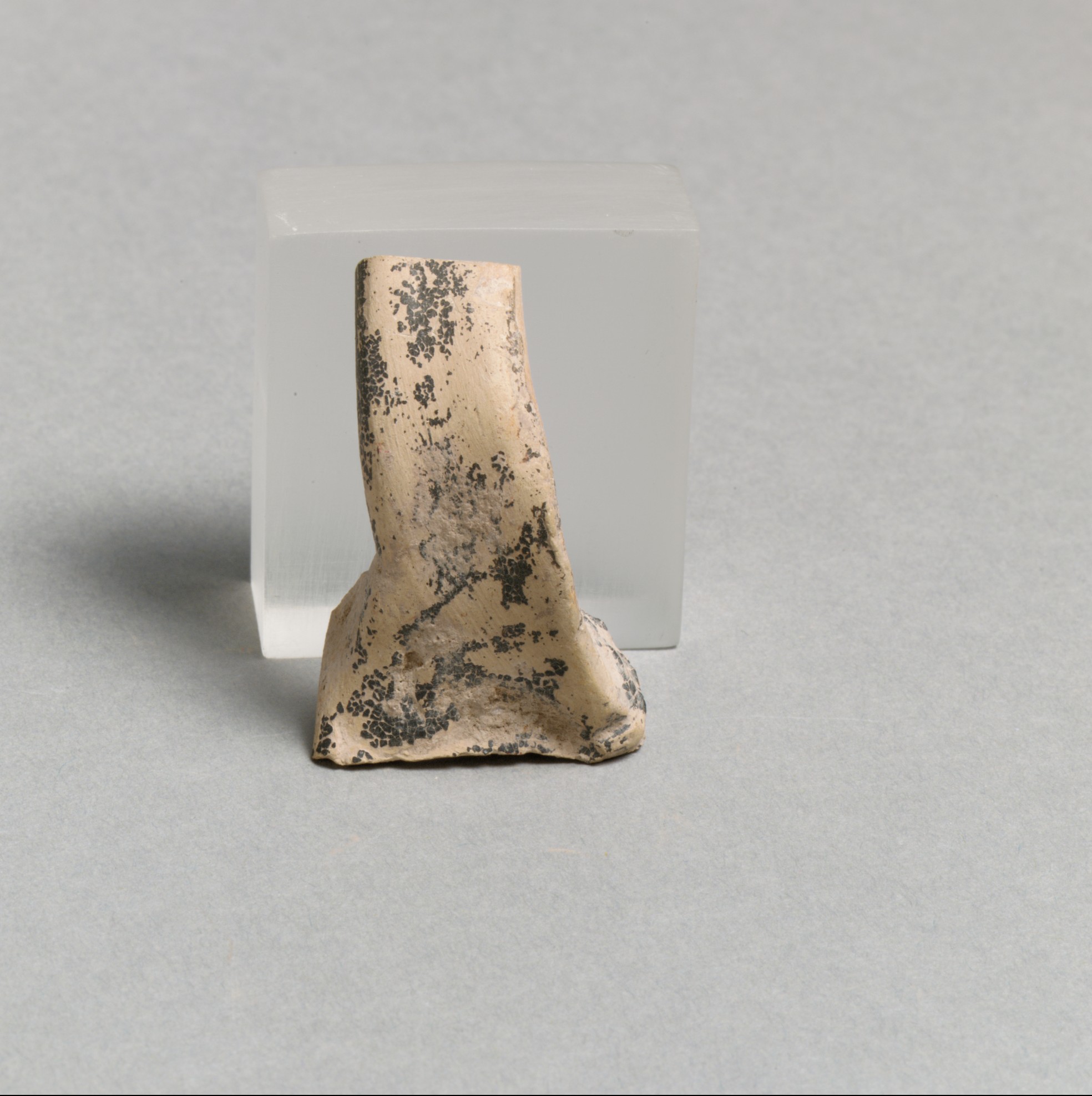 Vase fragment