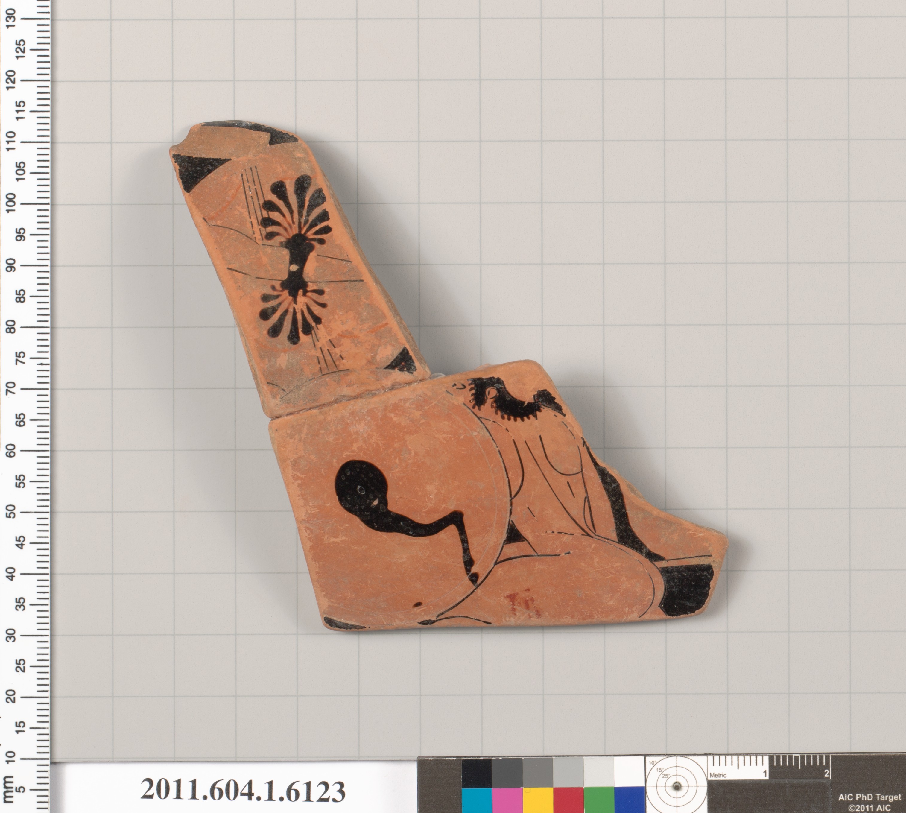 Terracotta fragment of a kylix (drinking cup)