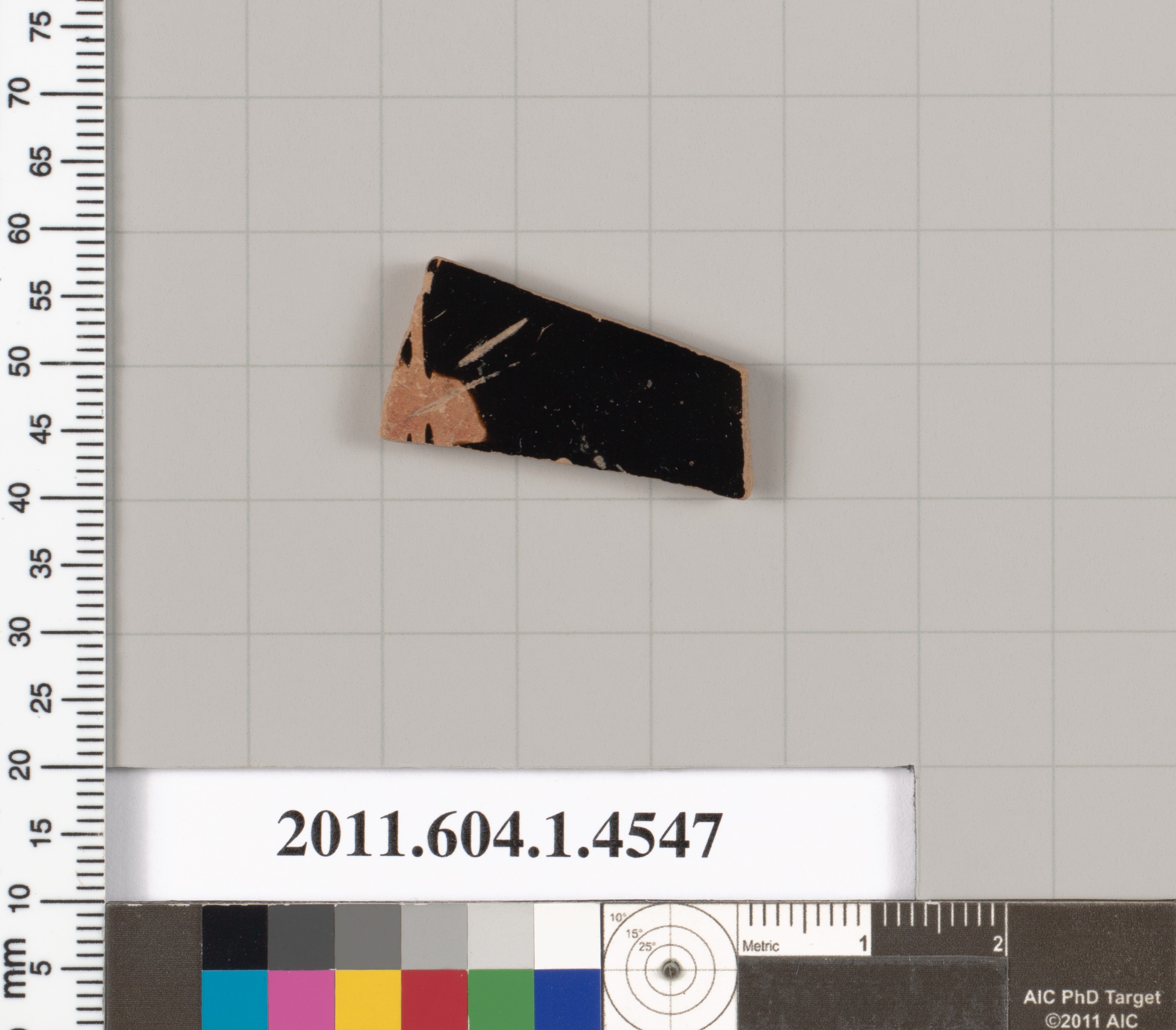 Terracotta fragment of a kylix (drinking cup)