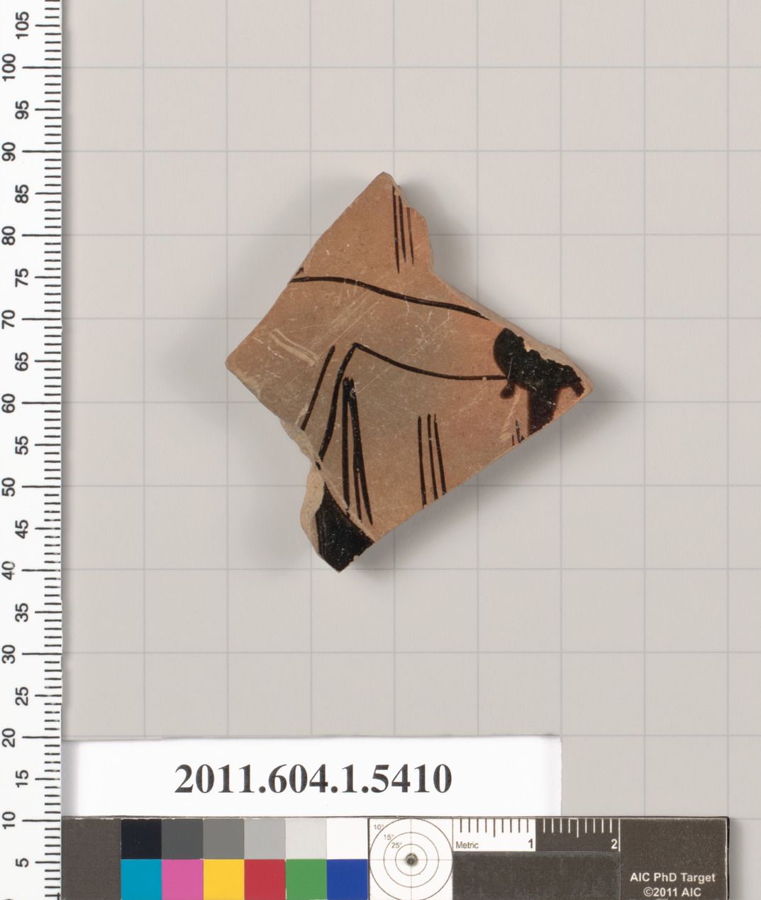 Terracotta fragment of a kylix (drinking cup)