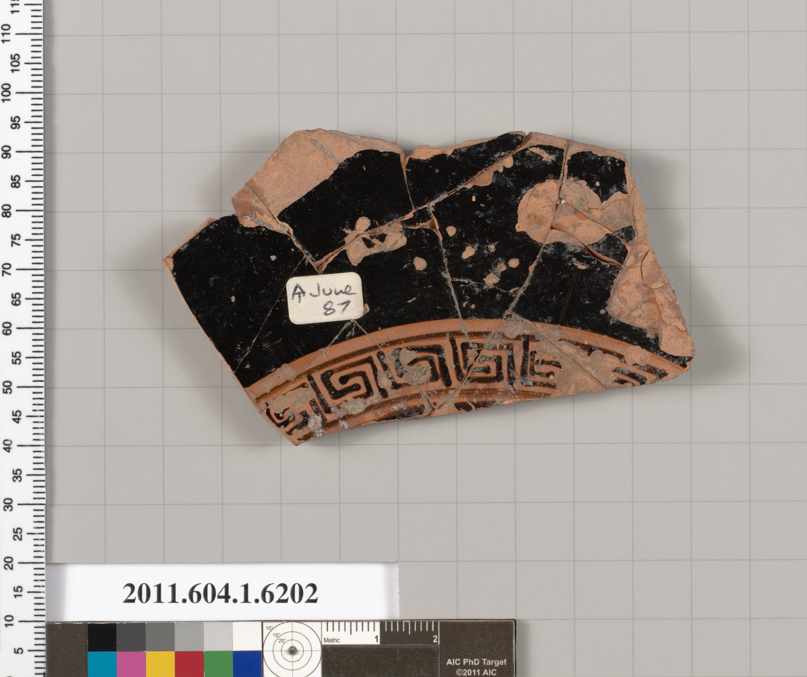 Terracotta fragment of a kylix (drinking cup)