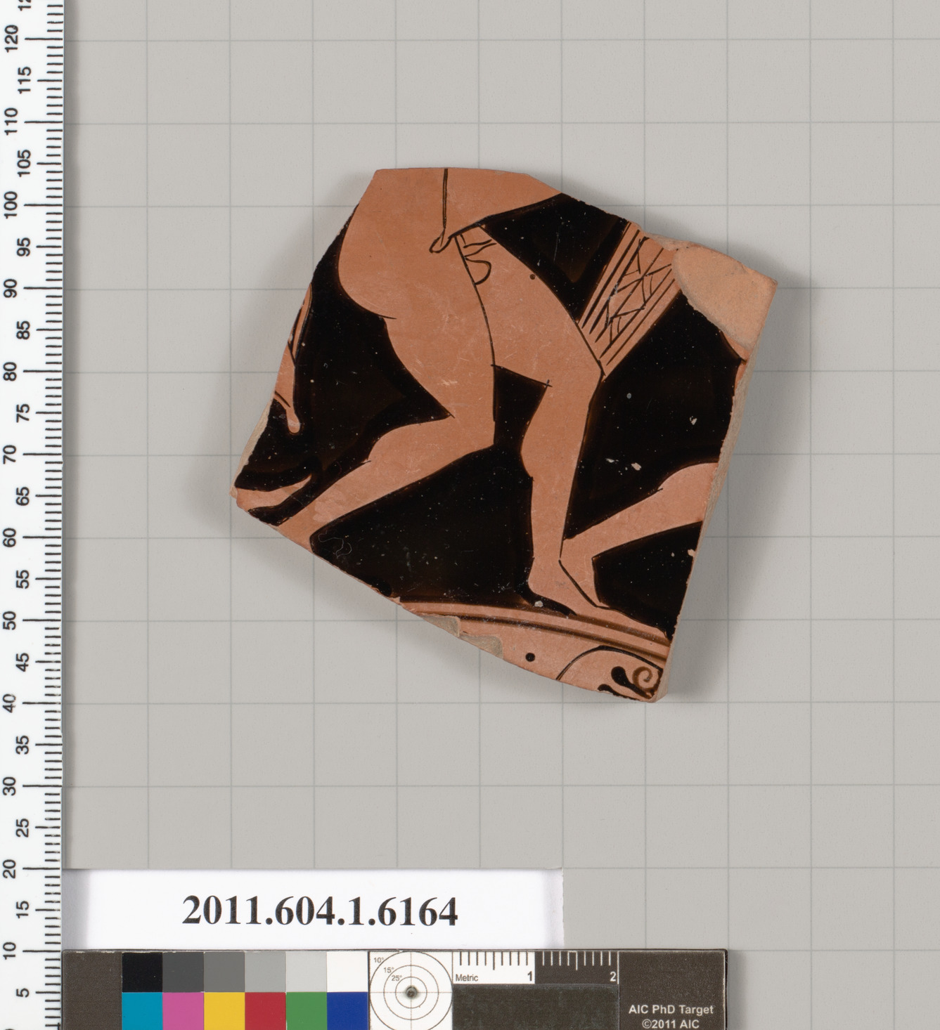 Terracotta fragment of a kylix (drinking cup)