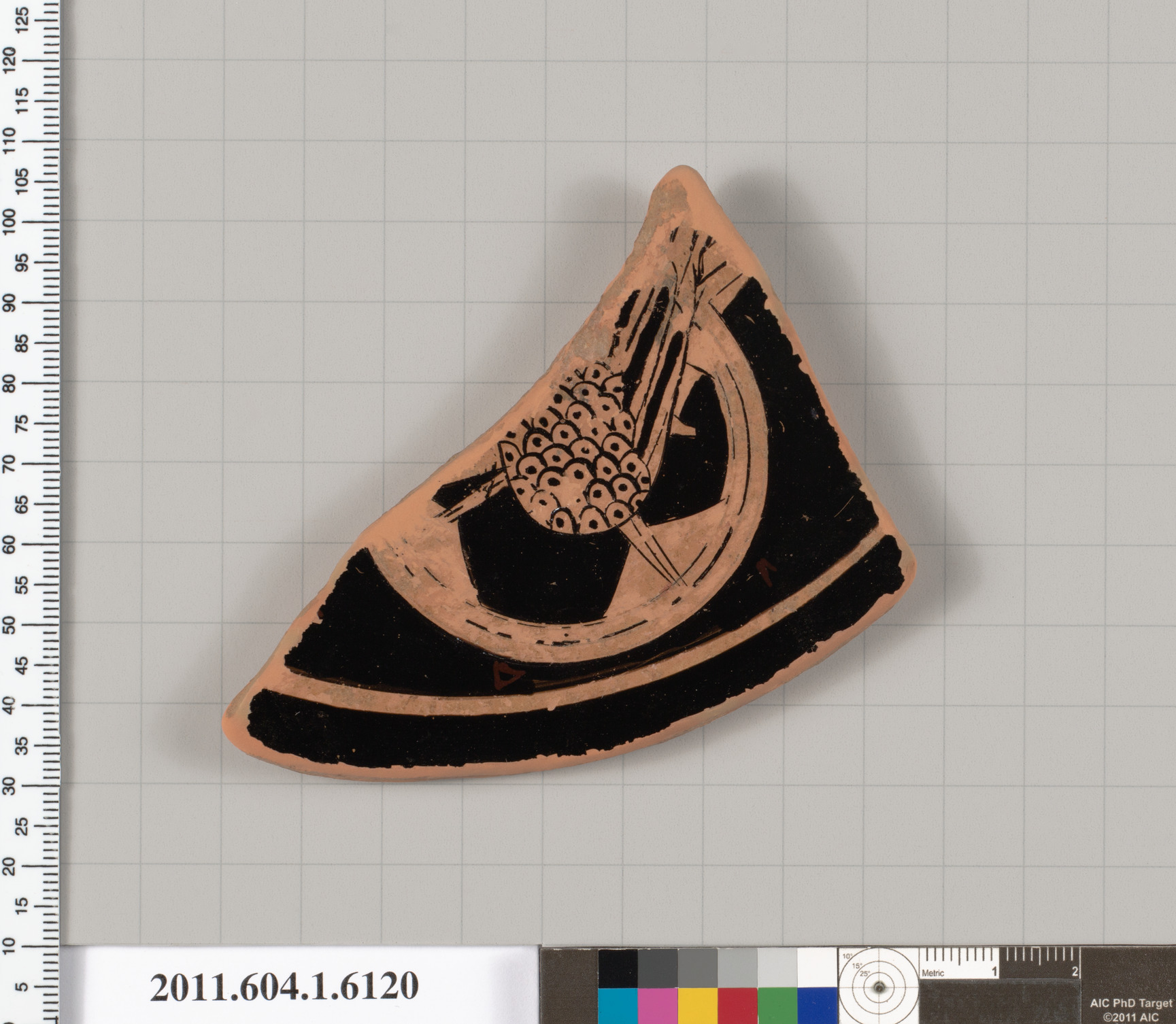 Terracotta fragment of a kylix (drinking cup)