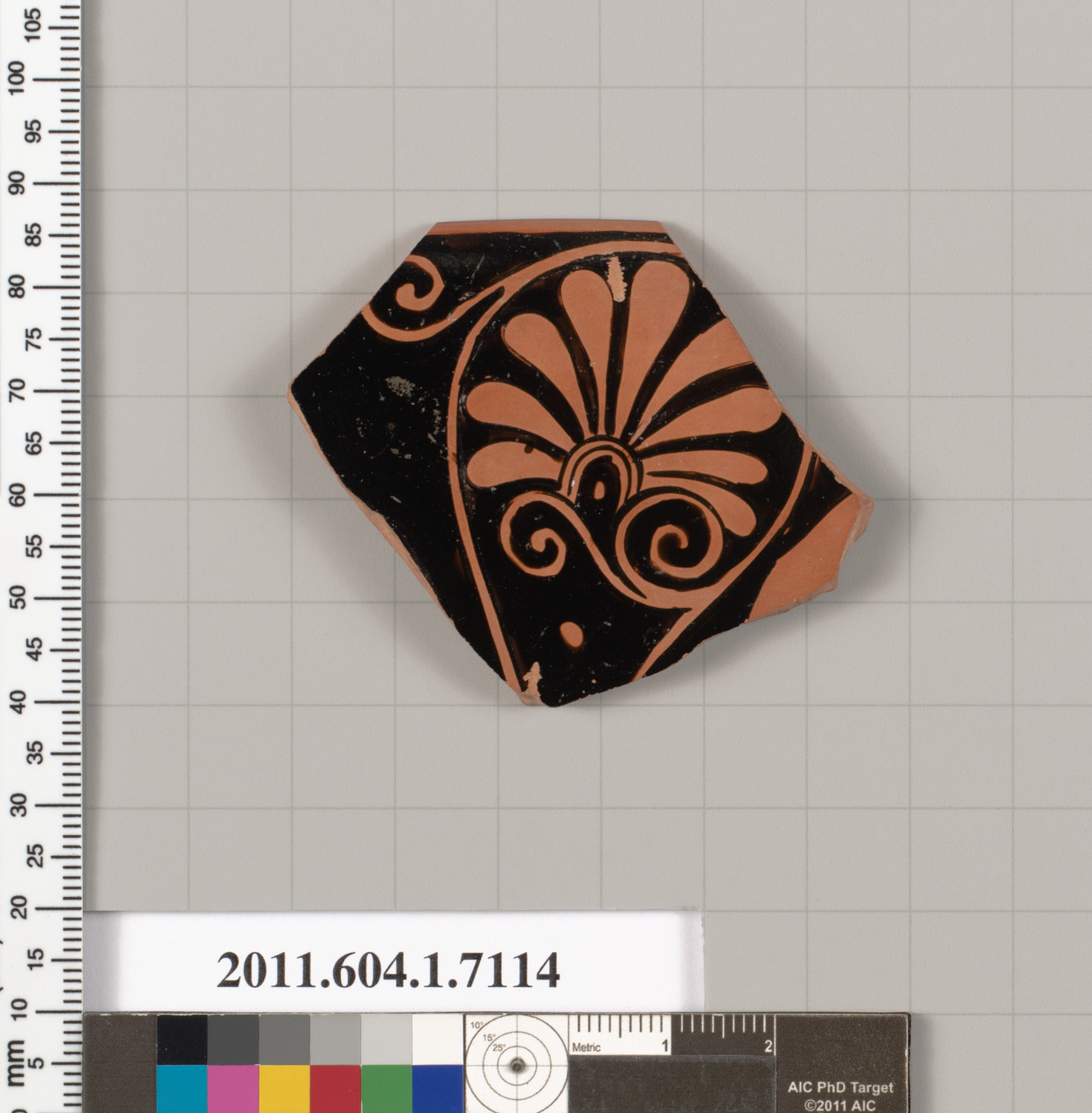 Terracotta rim fragment of a kylix (drinking cup)