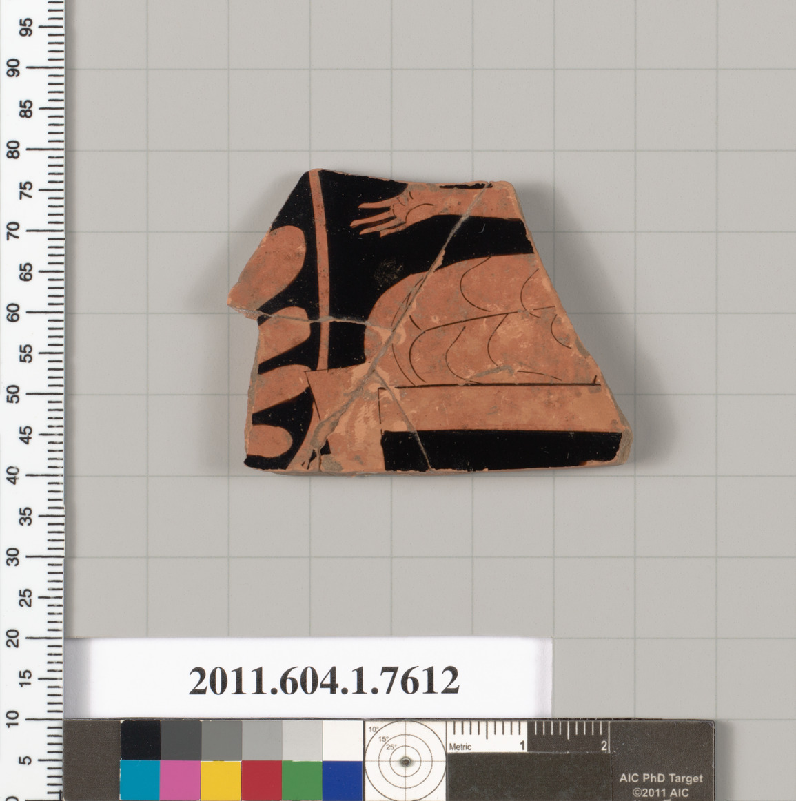 Terracotta fragment of a kylix (drinking cup)