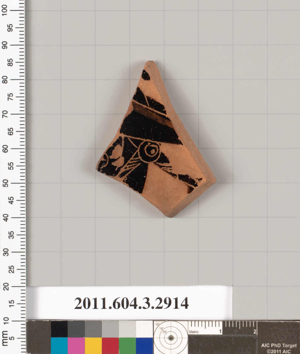 Terracotta fragment of a neck-amphora (jar)?