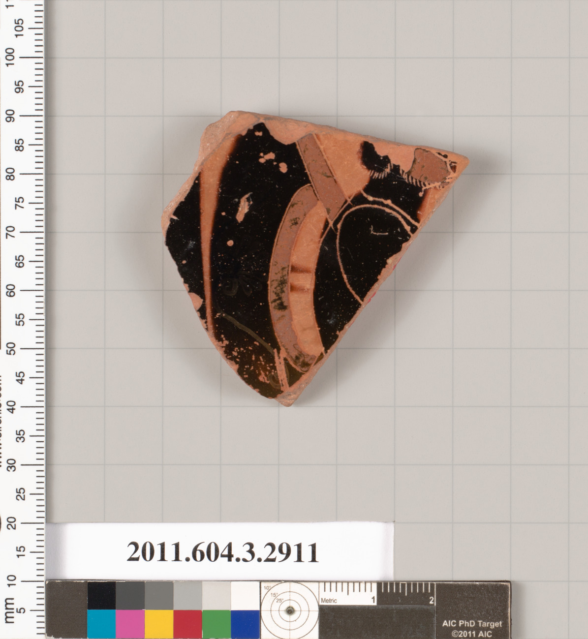 Terracotta fragment of an amphora (jar)