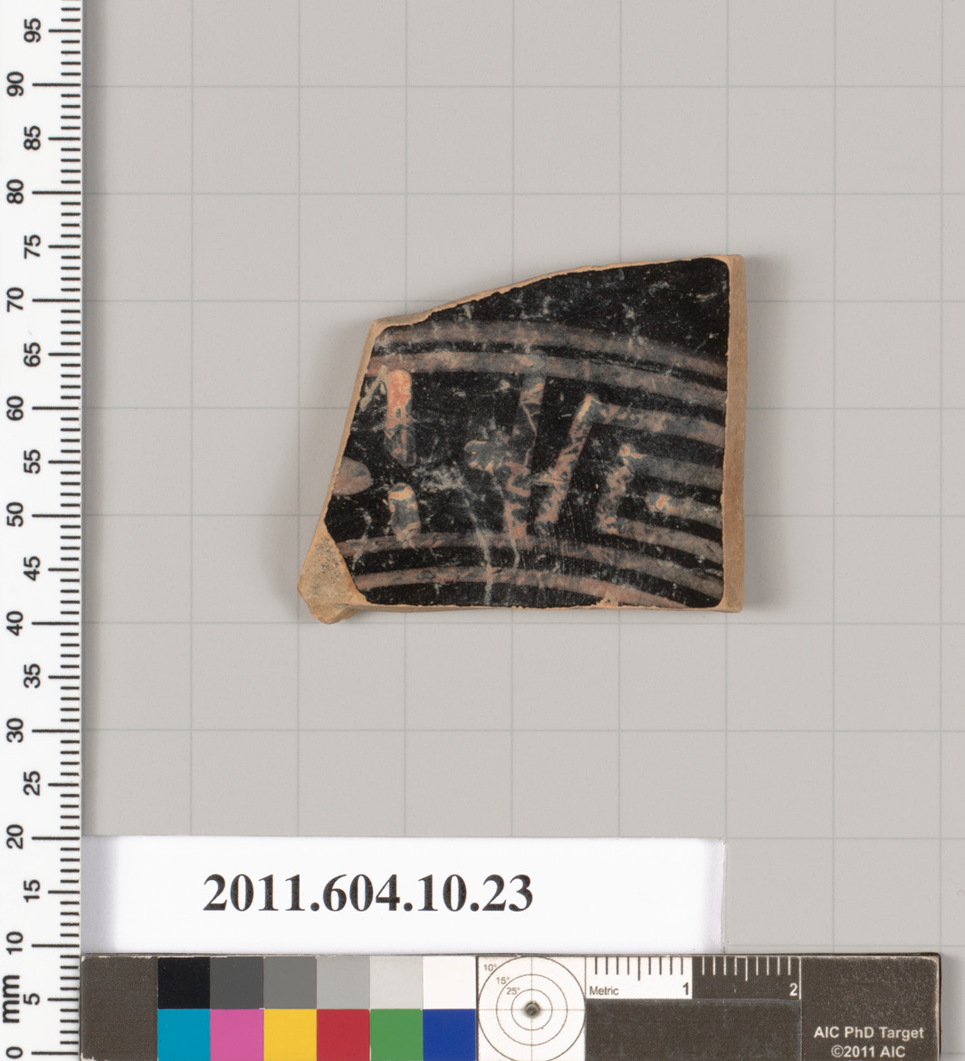 Terracotta fragment of a kylix (drinking cup)