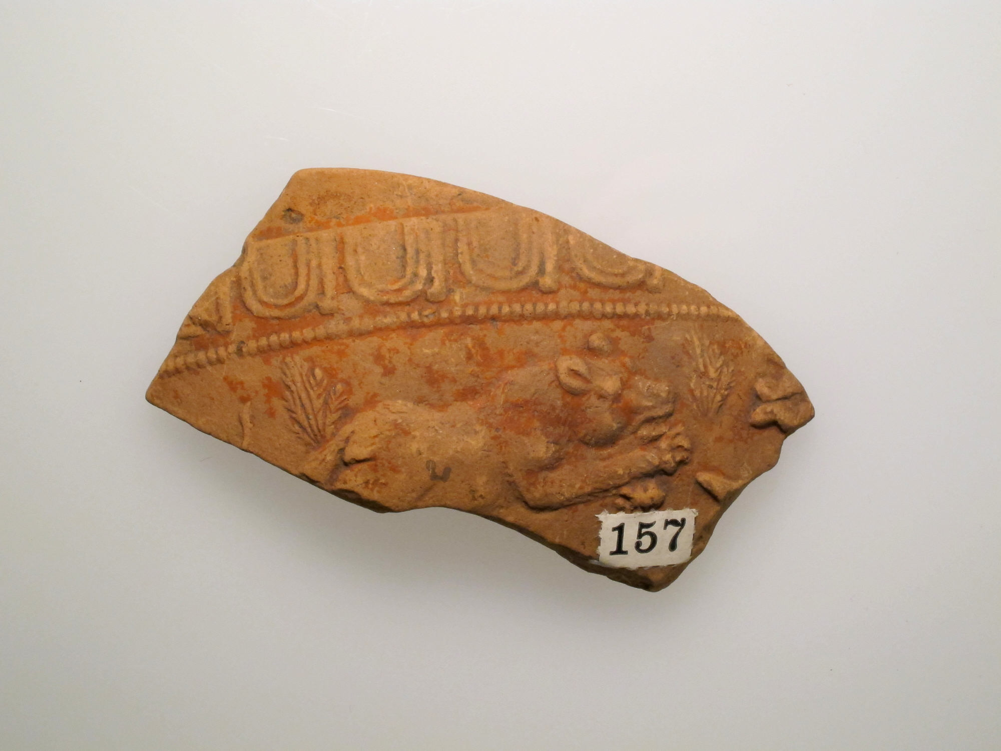 Vase fragment