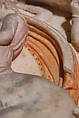 Original: Cloak painted in modulating reddish color from a relief on the lid of the Alexander sarcophagus. Image Vinzenz Brinkmann Reconstruction of one side of the so-called Alexander Sarcophagus, with a battle between Greeks and Persians Variant A, Vinzenz Brinkmann, Synthetic material, natural pigments in egg tempera