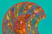 Original: Long feathers on the tip of the front wing in false colors. iDStretch Image Reconstruction of a marble finial in the form of a sphinx, Vinzenz Brinkmann, Cast from polymethyl metacrylate, natural pigments in egg tempera, gold foil, and copper