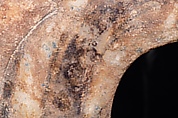 Original: Long feathers on the right side of the front wing. Image Vinzenz Brinkmann Reconstruction of a marble finial in the form of a sphinx, Vinzenz Brinkmann, Cast from polymethyl metacrylate, natural pigments in egg tempera, gold foil, and copper